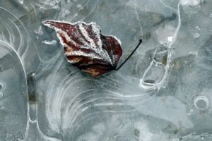 nature, Ice, Winter, Macro, Textures, Reflexions, Sculptures, Water, Art, Frozen