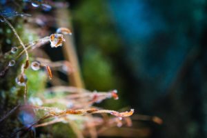 nature, Ice, Winter, Macro, Textures, Reflexions, Sculptures, Water, Art, Frozen