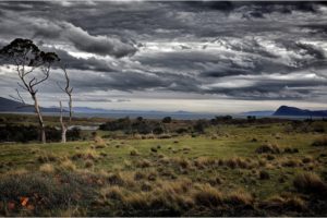 landscape, Nature, Beautiful, Area, Wild, Sky