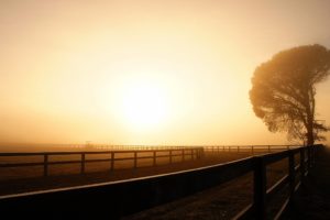 landscape, Nature, Beautiful, Area, Wild, Sky, Landscapes