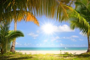 coast, Boat, Sea, Palm, Trees