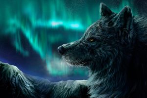 fantasy, Original, Art, Artistic, Artwork, Wolf, Wolves