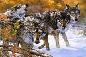 fantasy, Original, Art, Artistic, Artwork, Wolf, Wolves