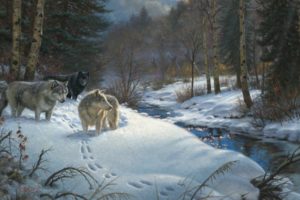 fantasy, Original, Art, Artistic, Artwork, Wolf, Wolves