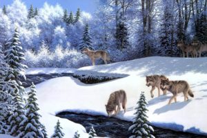 fantasy, Original, Art, Artistic, Artwork, Wolf, Wolves