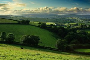 landscapes, Nature, Trees, Fields