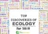 Discoveries in Ecology 2019