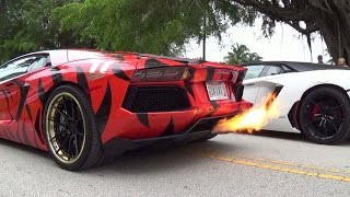 INSANE HUGE REVS & FLAMES! Lamborghini Aventador Crazy Rev Battle Gia Lai Team Toy Rally MUST SEE!!!