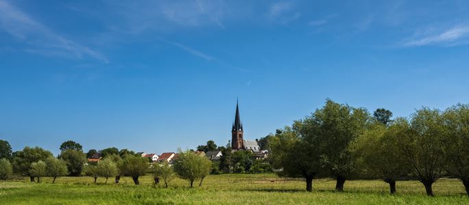 Über einem Feld mit niedrigen Bäumen sieht man einen Kirchturm.