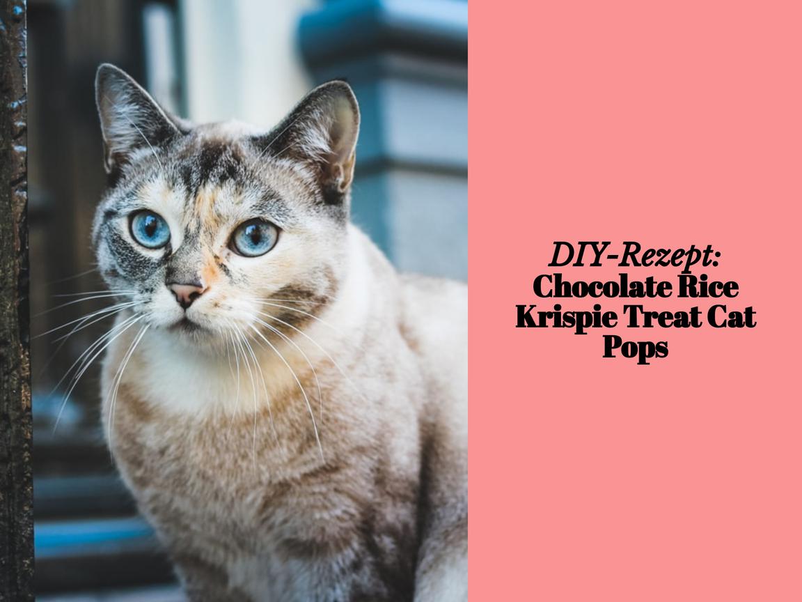 DIY-Rezept: Chocolate Rice Krispie Treat Cat Pops