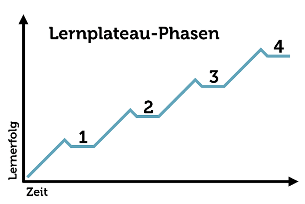 Leonard Lernphase Plateaumodell Grafik