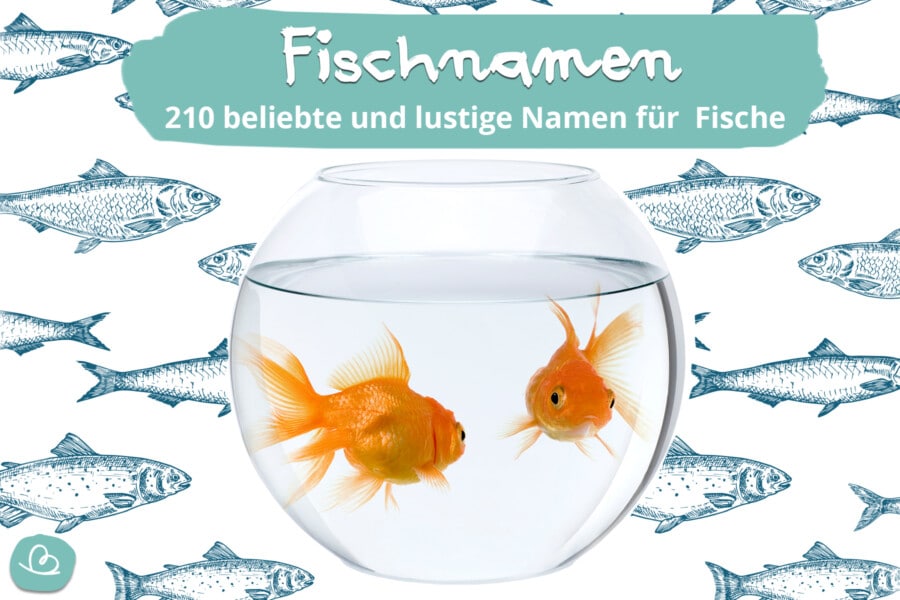 Fischnamen-beliebte und coole Namen