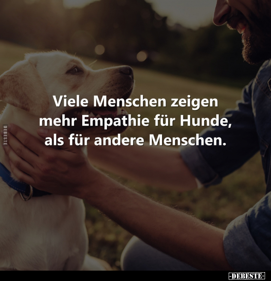 Viele Menschen zeigen mehr Empathie für Hunde, als für.. - Lustige Bilder | DEBESTE.de