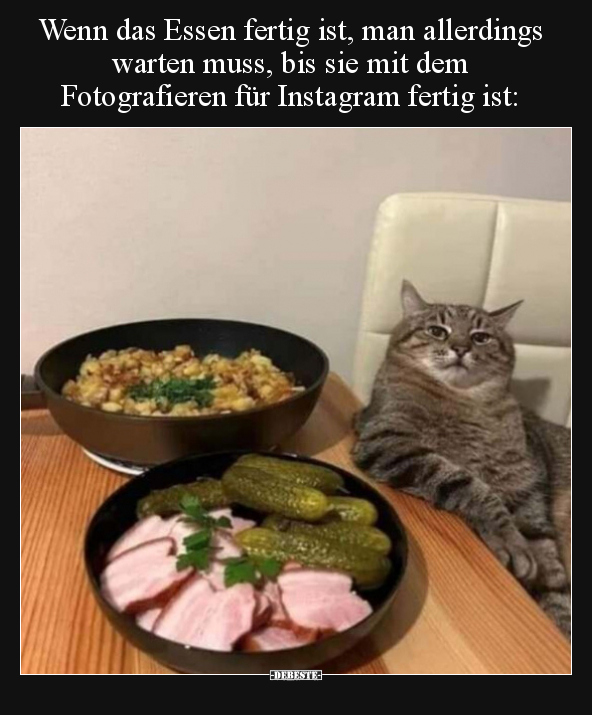 Wenn das Essen fertig ist, man allerdings warten muss, bis.. - Lustige Bilder | DEBESTE.de