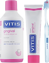 Mundpflegeset Dentaid Vitis Gingival