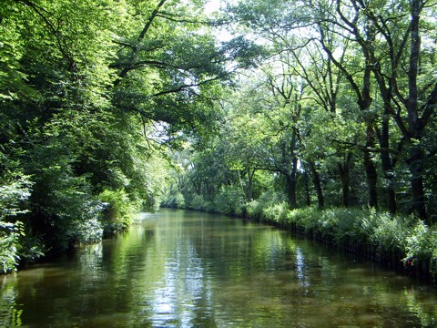 Canal des Vosges