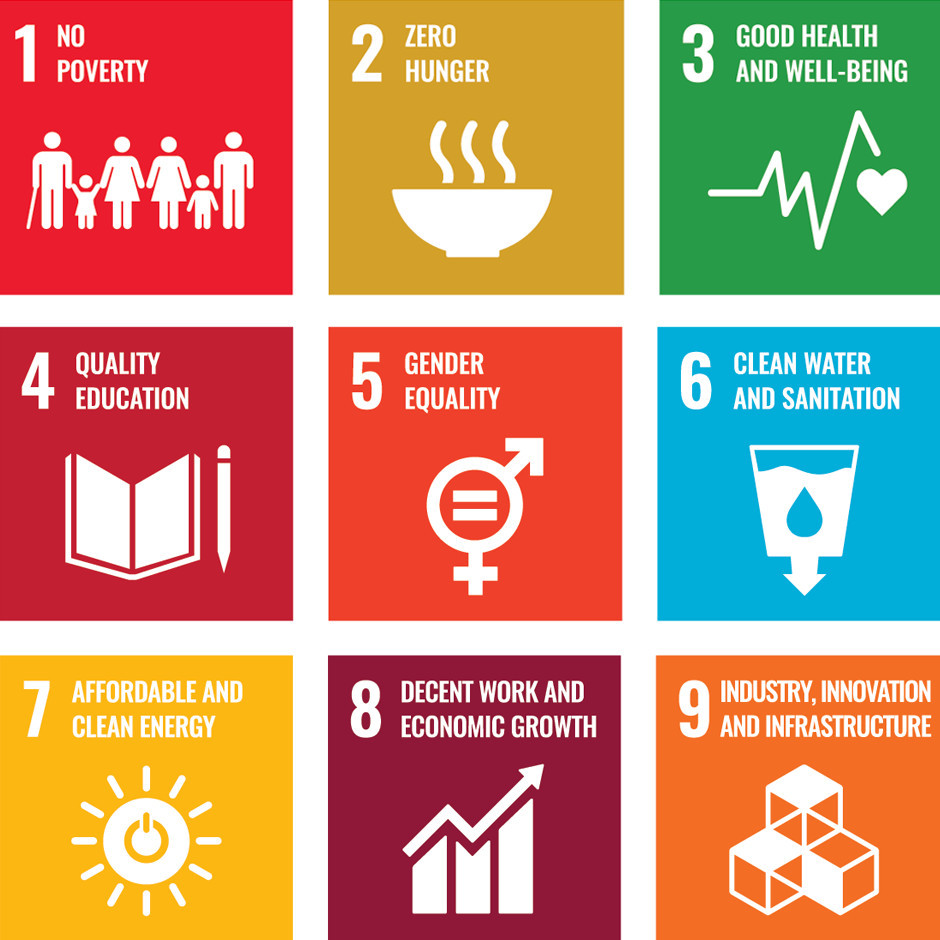 17 Sustainable Development Goals