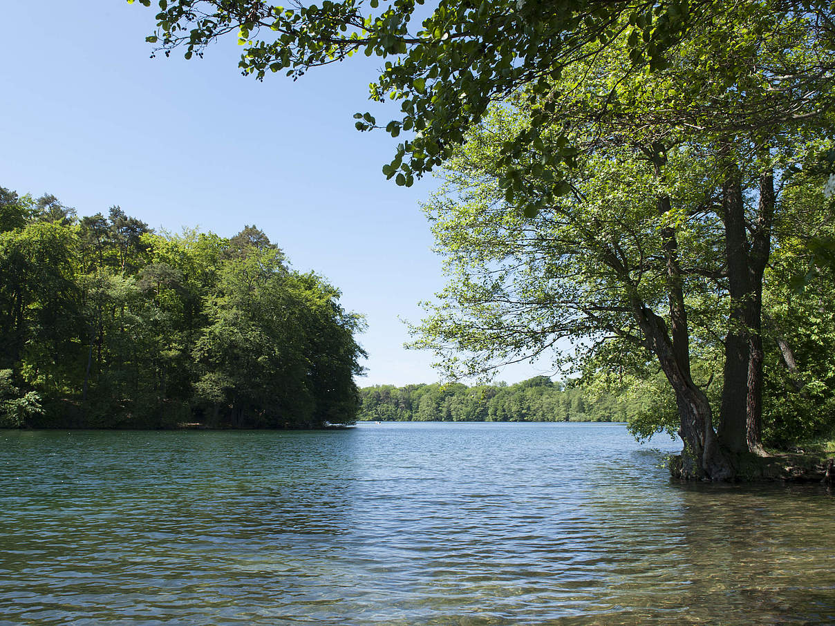 Feldberger Seenlandschaft © Ralph Frank / WWF