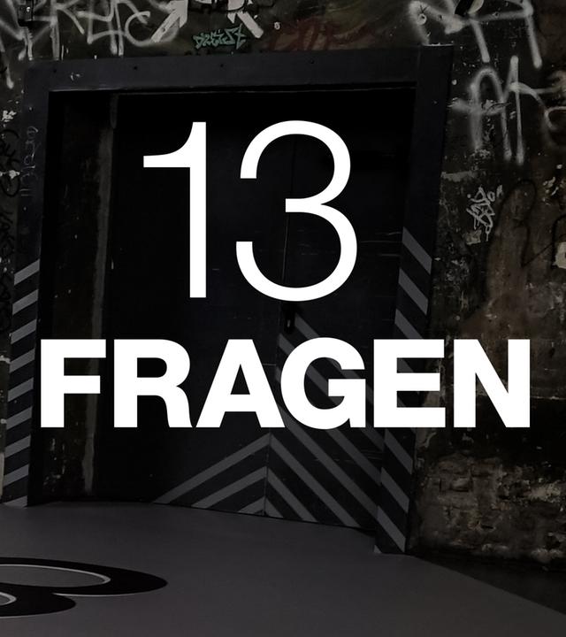 ZDFkultur - 13 Fragen