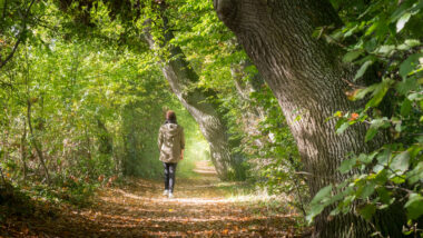 Frau macht einen sonnigen Herbstspaziergang im Wald