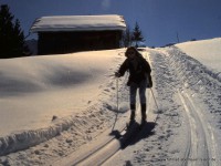 Laufstile beim Langlauf