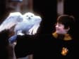 Harry Potter und Schneeeule Hedwig