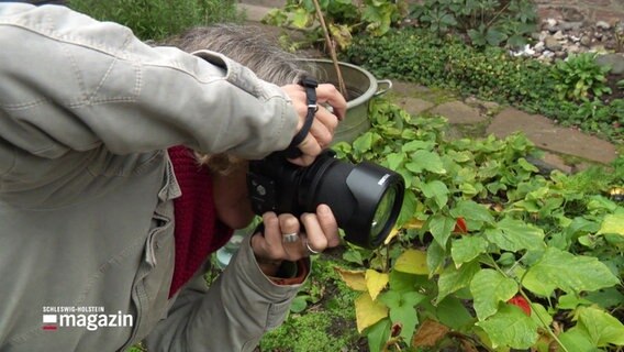 Eine Person fotografiert Gartenkunst in Lübeck. © Screenshot 