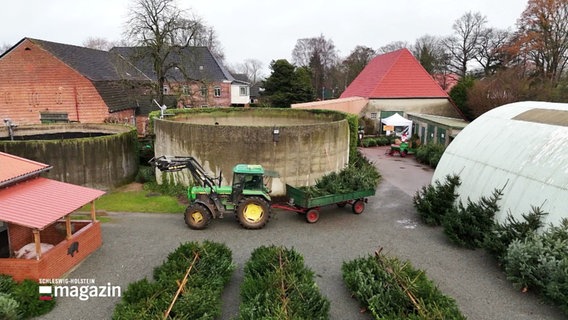 Auf einem Hof stehen Weihnachtsbäume zum Verkauf, ein Traktor zieht einen Anhänger mit Tannenbäumen. © Screenshot 