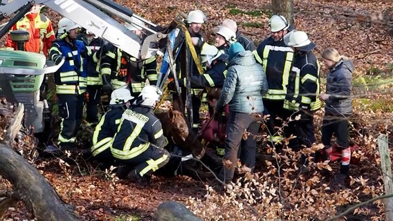 Einsatzkräfte der Feuerwehr in einem Wald, davor eine Texttafel: "Feuerwehr rettet Pferde aus Schlamm bei Trittau" © NDR Foto: NDR Screenshot