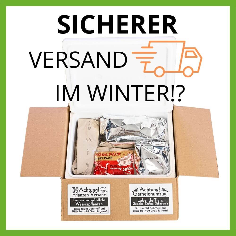 So versenden wir im Winter