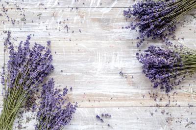 Fototapete Lavendel auf den Brettern