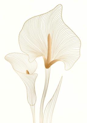 Poster Calla-Lilien im Glanz von Gold