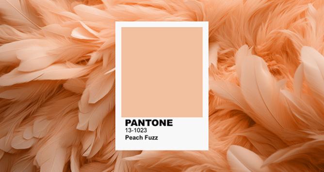 Trendfarbe des Jahres 2024 laut Pantone – Wie lässt sich Peach Fuzz in unserem Interieur stylen?