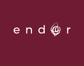 Logo endor