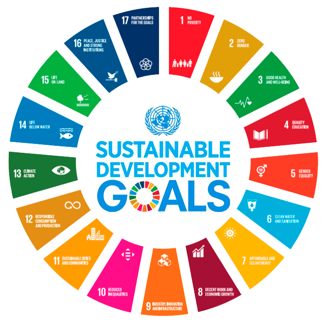 What Are The Un Sustainable Development Goals And Why - vrogue.co