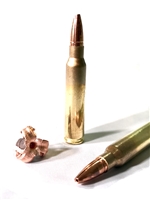 EBR .223 Max Expander 62gr Ammunition