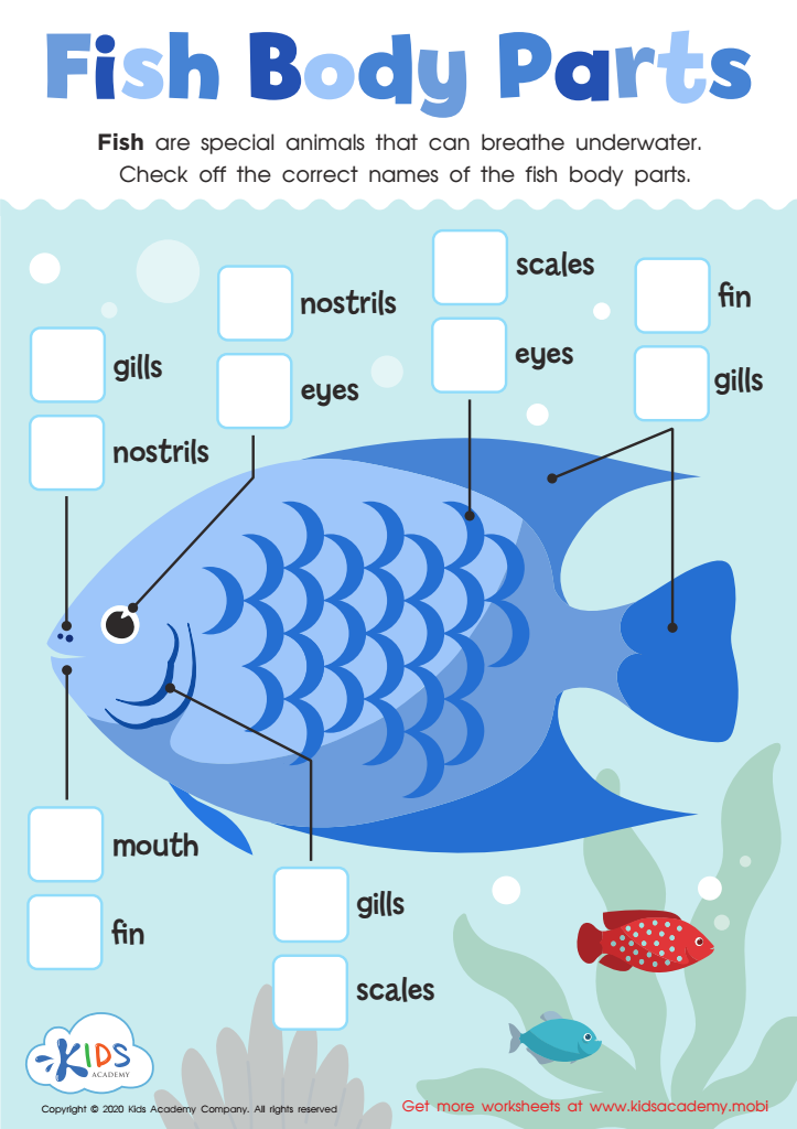 Parts Of A Fish Worksheet For Kids