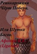 Обложка книги "Реинкарнация Чёрт Побери. Или шутка Богов."