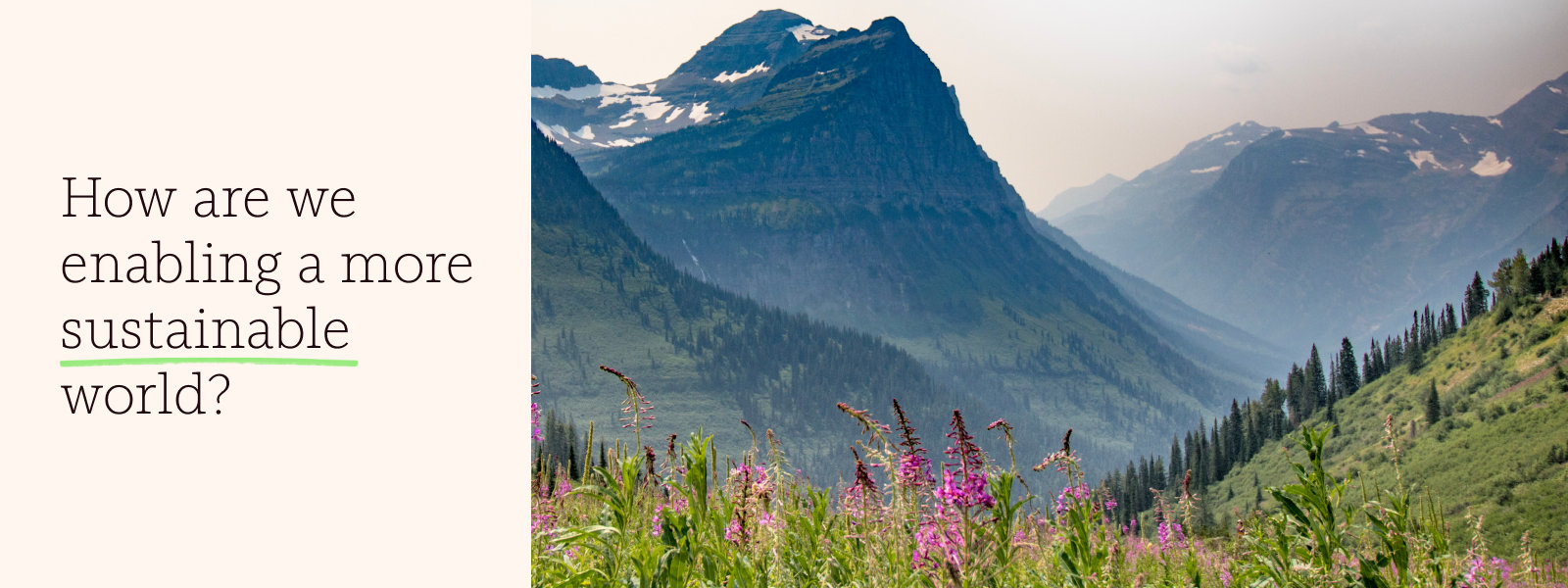 The question “How are we enabling a more sustainable world” alongside a view of  a mountainous landscape, with wildflowers in the foreground and misty, snow-covered peaks in the background.