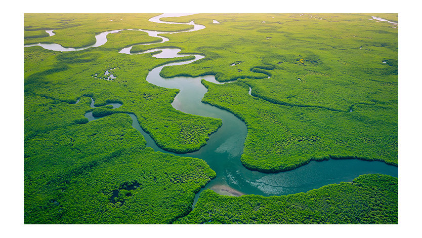 Ariel view of a winding waterway.