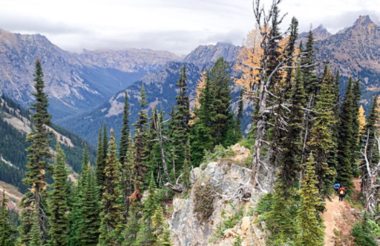 Image of mountainous landscape with trees in the foreground, and mountain peaks covered by cloud in the background.