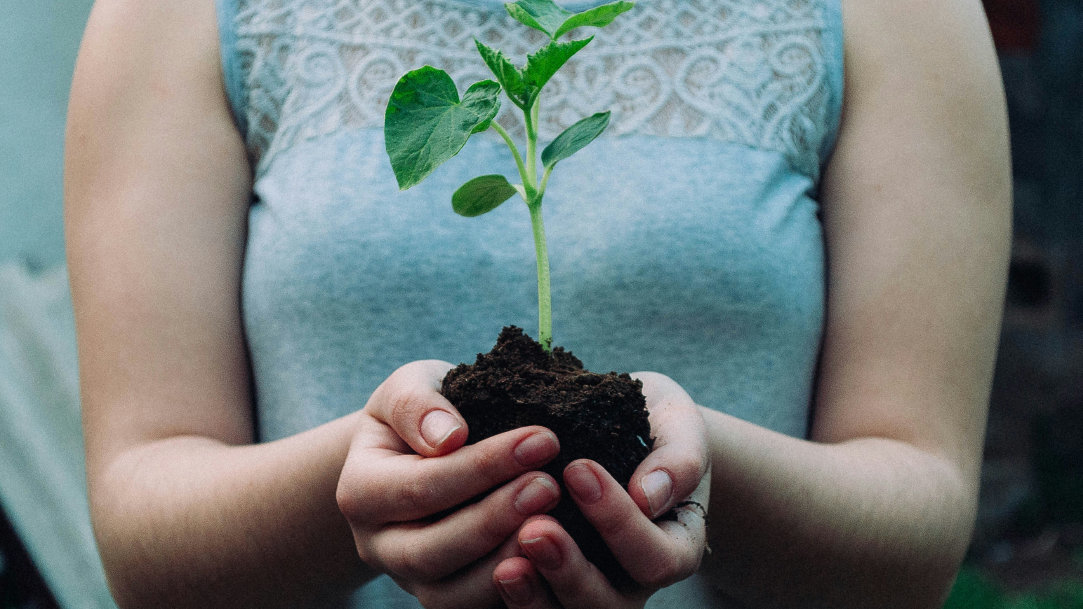 A woman holding a small plant in dirt in her hands