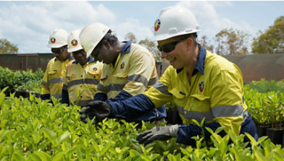 Workers in personal protective equipment review a field of plants.