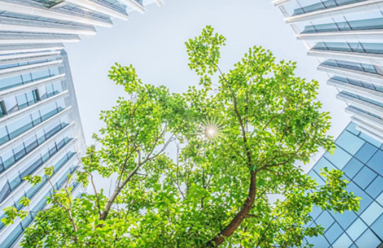 An upward view at the sky and the external facades of four buildings that surround trees.