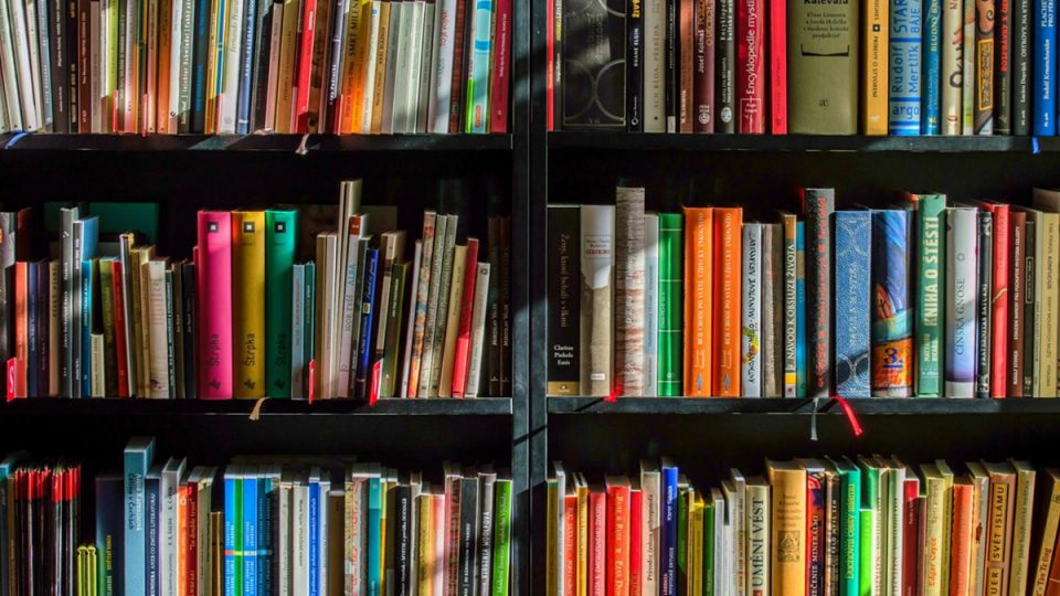 A dark wooden bookshelf filled with an assortment of books, showcasing a variety of colors and sizes. The spines are visible, revealing a range of genres and topics.