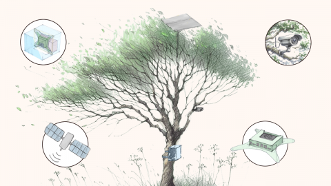 Illustration of a tree equipped with various technological devices. The tree has a solar panel on top and several sensors attached to its branches and trunk. Surrounding the tree are circular insets showing close-ups of the devices: a satellite in orbit, a camera hidden among leaves, a compact sensor, and a complex circuitry device. The image represents the integration of technology for environmental observation and monitoring.