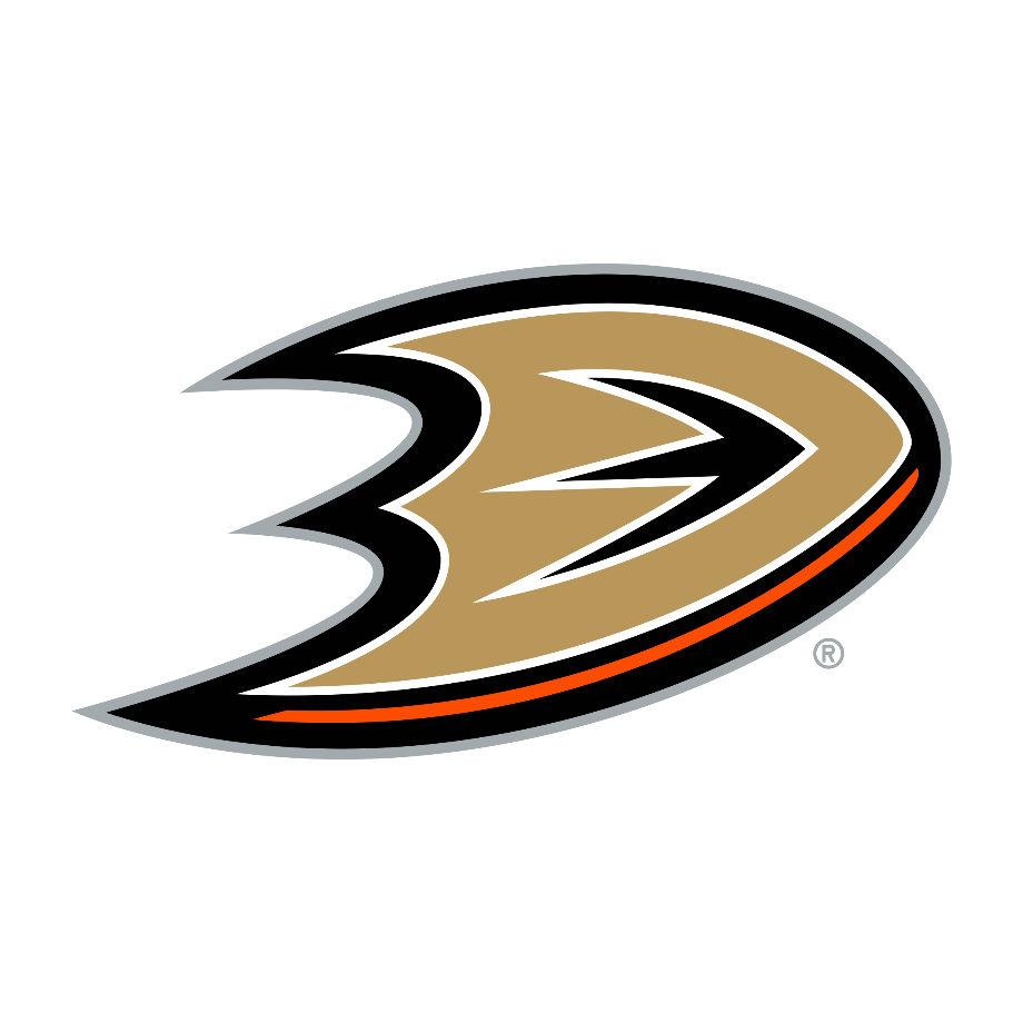 Anaheim ducks logo minecraft