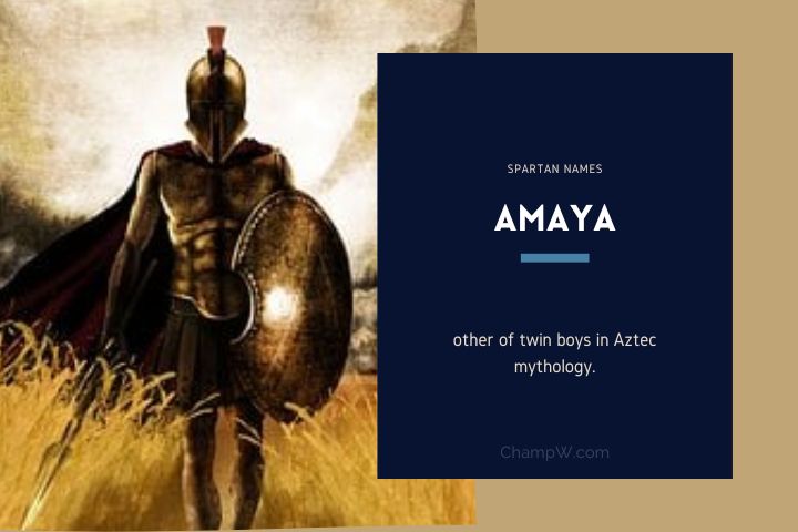 Amaya