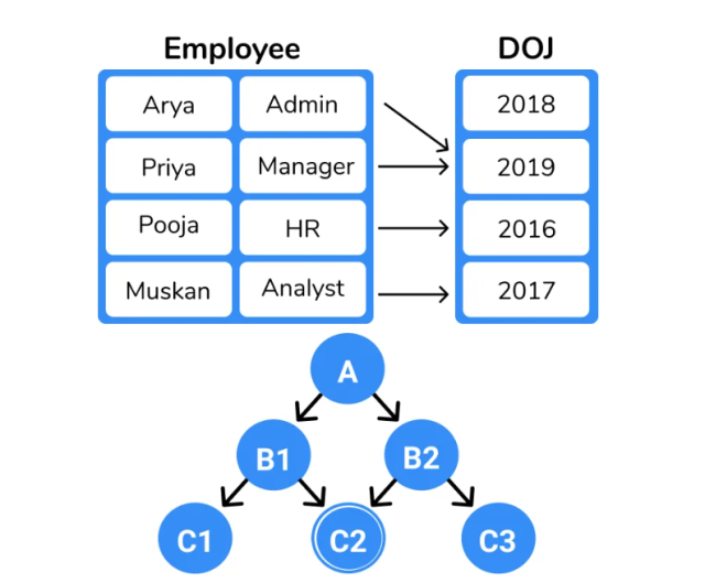 network data model