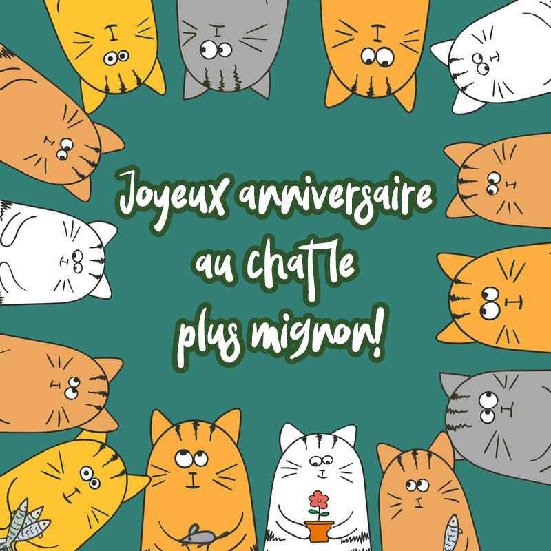 Joyeux anniversaire au chat images - 50 cartes de voeux gratuites